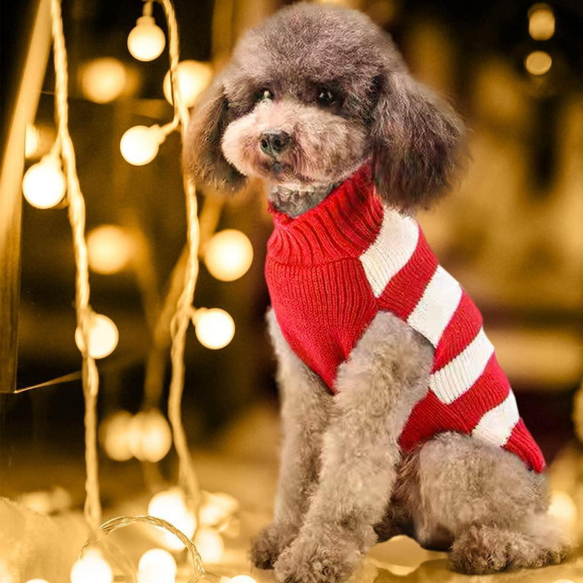 Hundepullover Weihnachten: Warmer Strick Rollkragen für Welpen