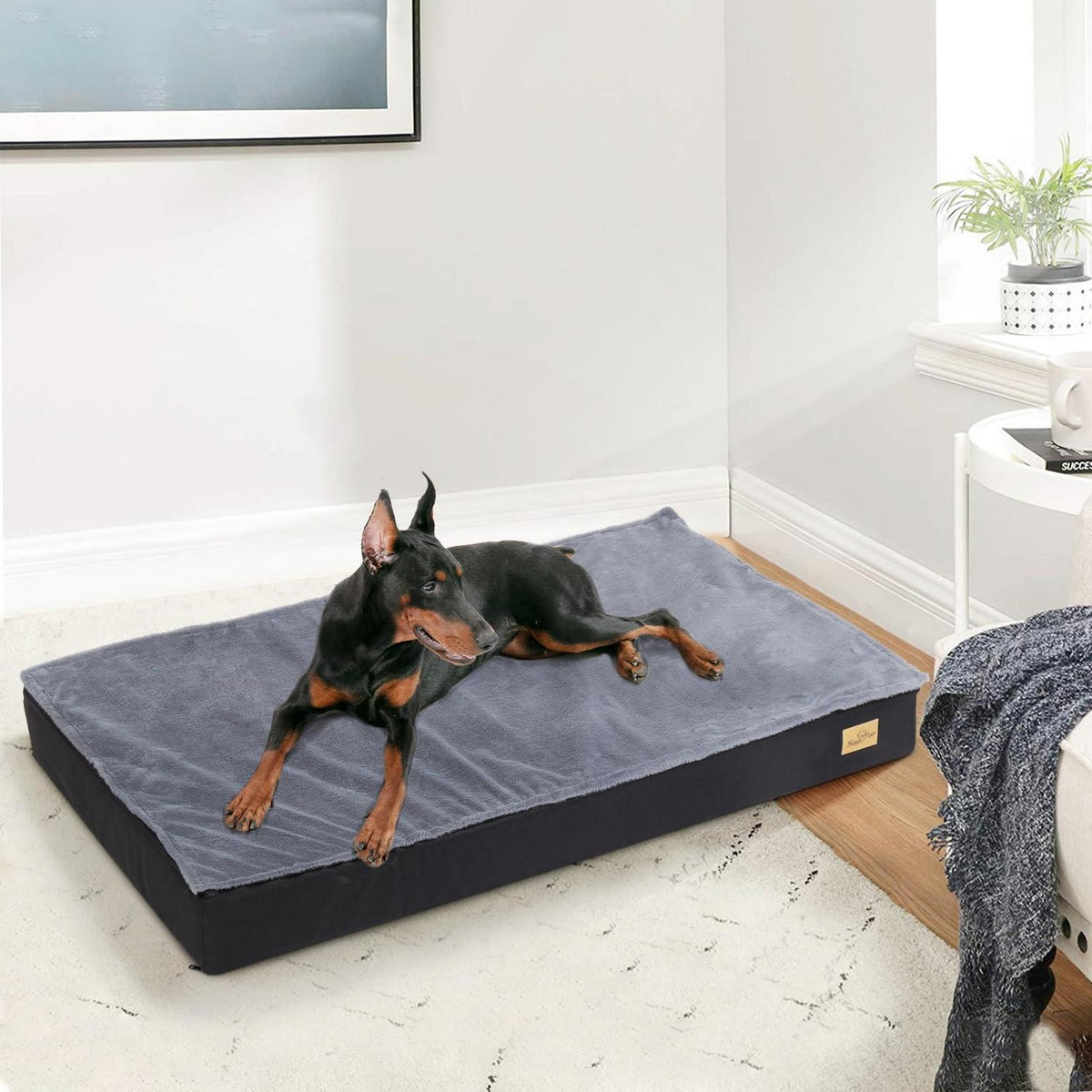 Orthopädisches Hundebett Groß – Waschbar & Rutschfest