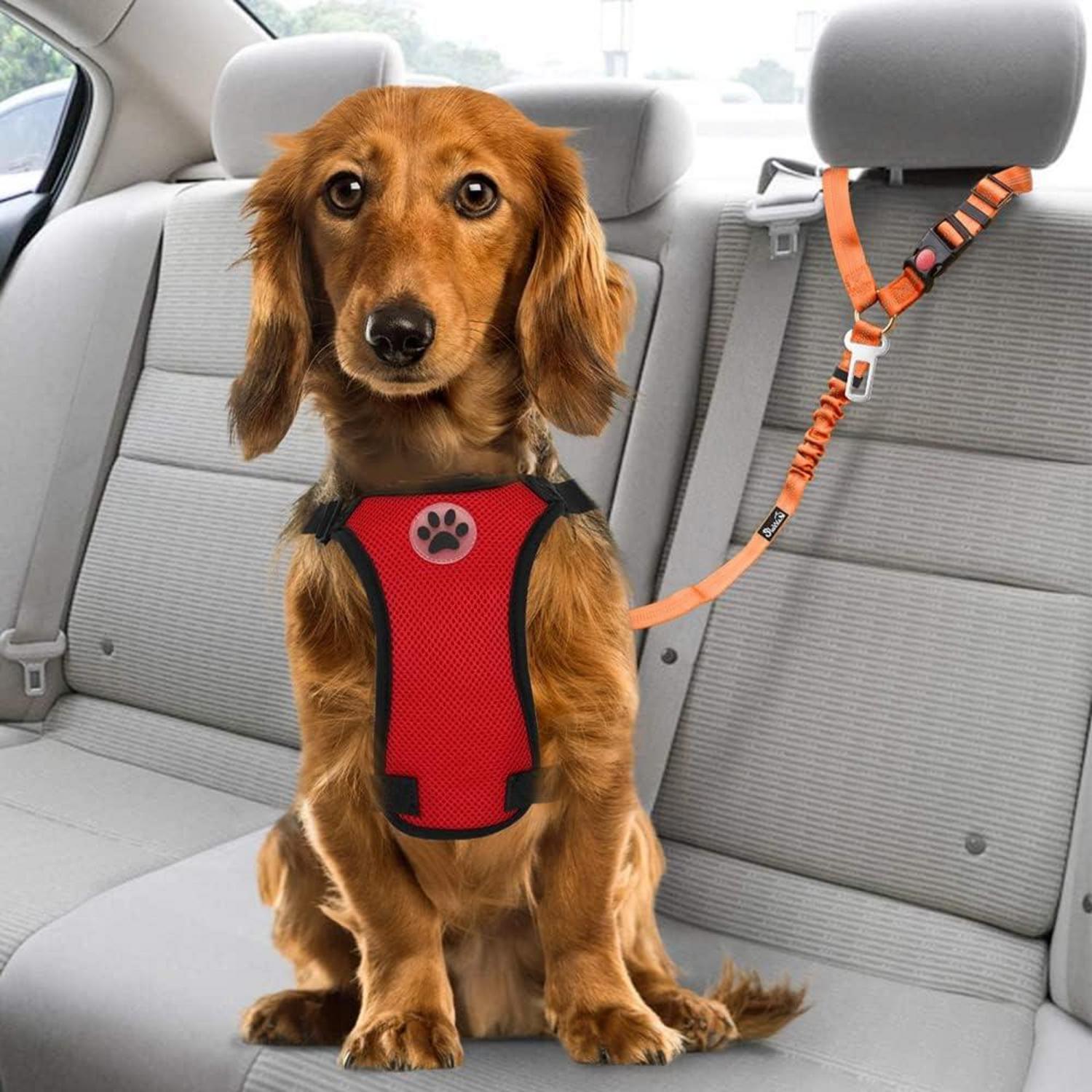 SlowTon Hundegurt fürs Auto 2-in-1 Kopfstützen-Rückhalte Anschnallgurt