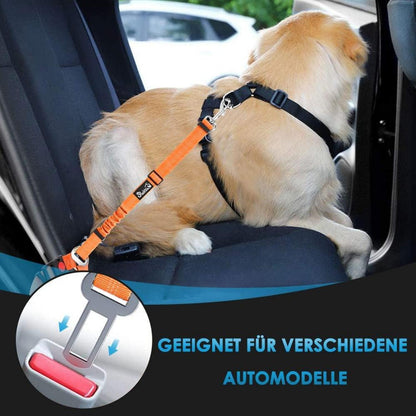 Hundegurt Auto, 2-in-1 Kopfstützen-Rückhalte Anschnallgurt Hund