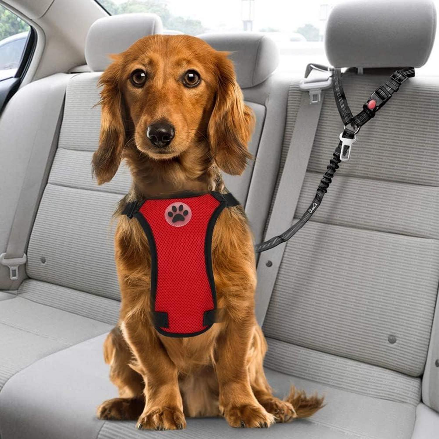 SlowTon Hundegurt Auto 2-in-1 Anschnallgurt Schwarz