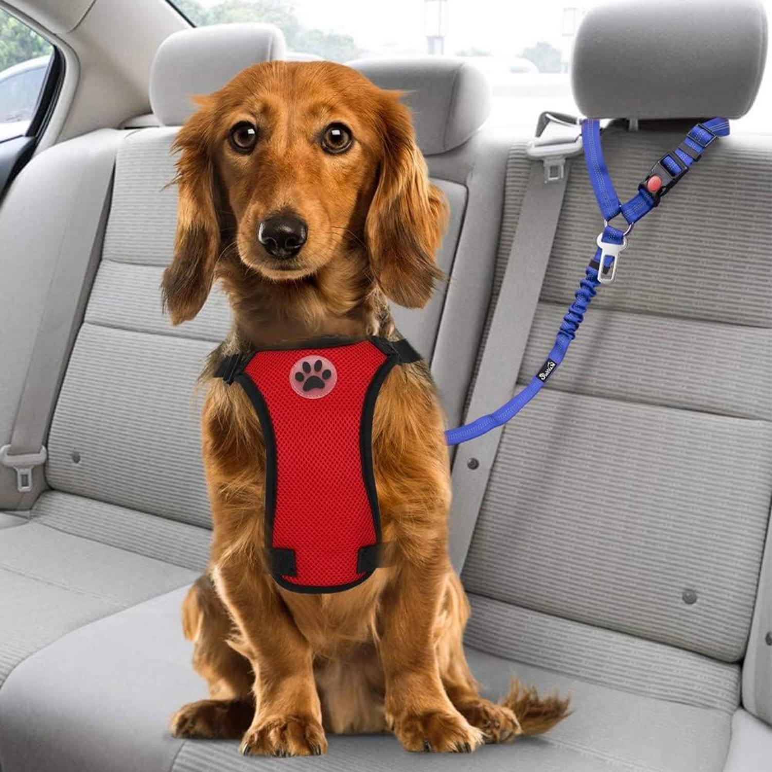 Hundegurt Auto Sicherheitsgurt Kopfstützen-Rückhalte 2-in-1