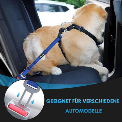 Hundegurt Auto 2-in-1 Kopfstützen-Rückhalte Anschnallgurt Hellblau 2er