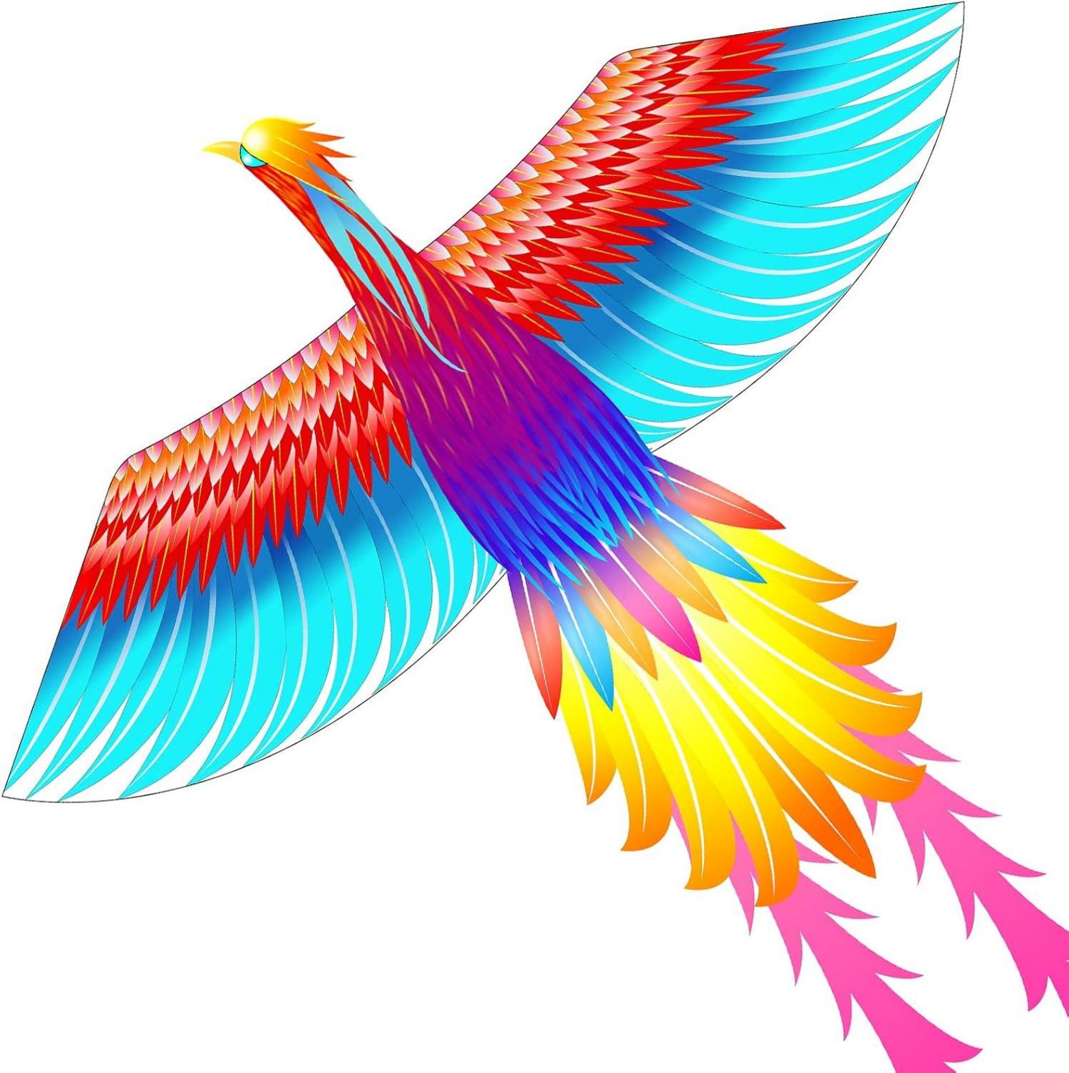 Regenbogen Phönix Drachen für Kinder und Erwachsene | Flugdrachen