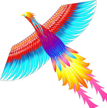 Regenbogen Phönix Drachen für Kinder und Erwachsene | Flugdrachen