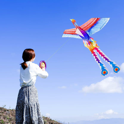 Regenbogen Phönix Drache für Kinder und Erwachsene