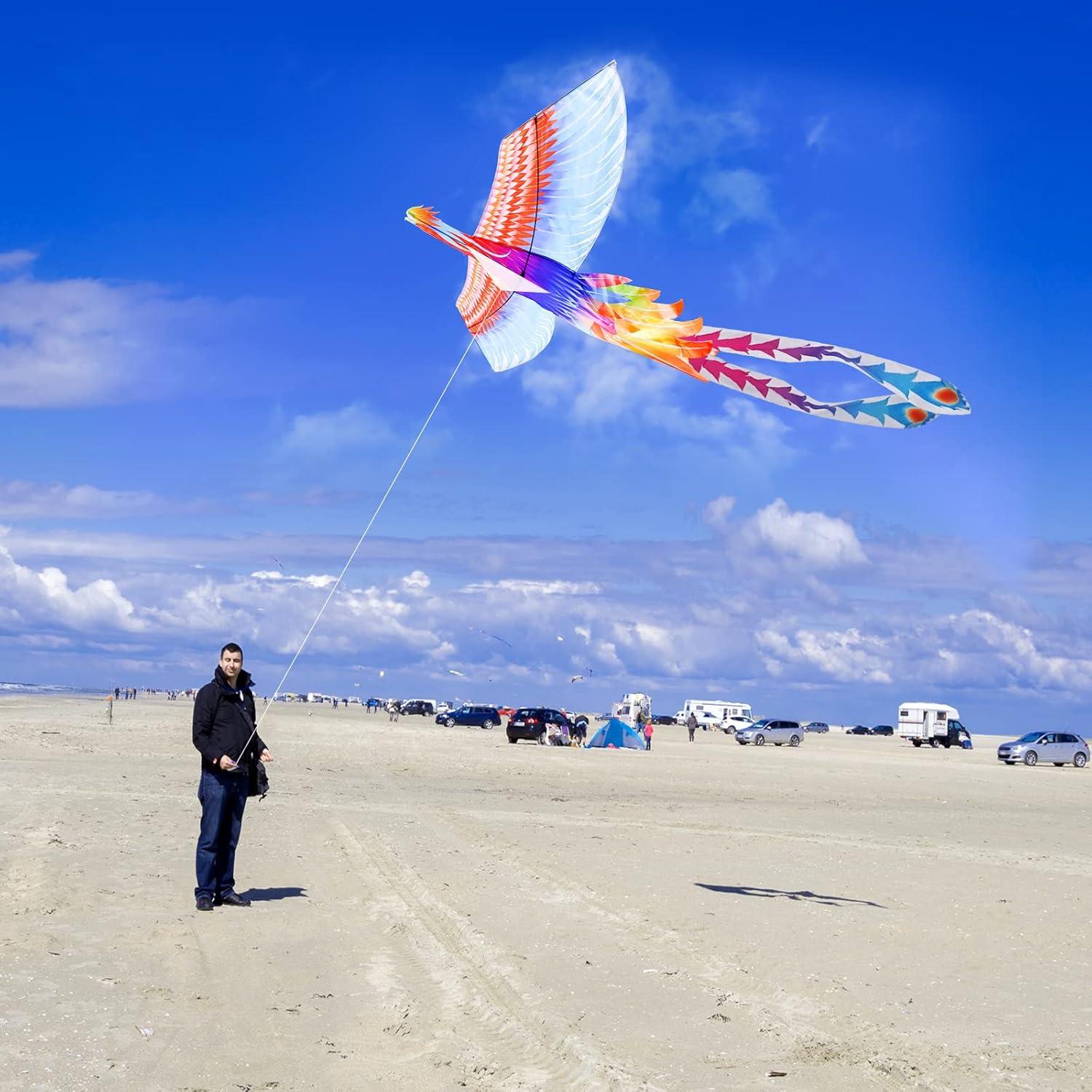 Regenbogen Phönix Drachen für Kinder und Erwachsene, leicht zu fliegen, Strand