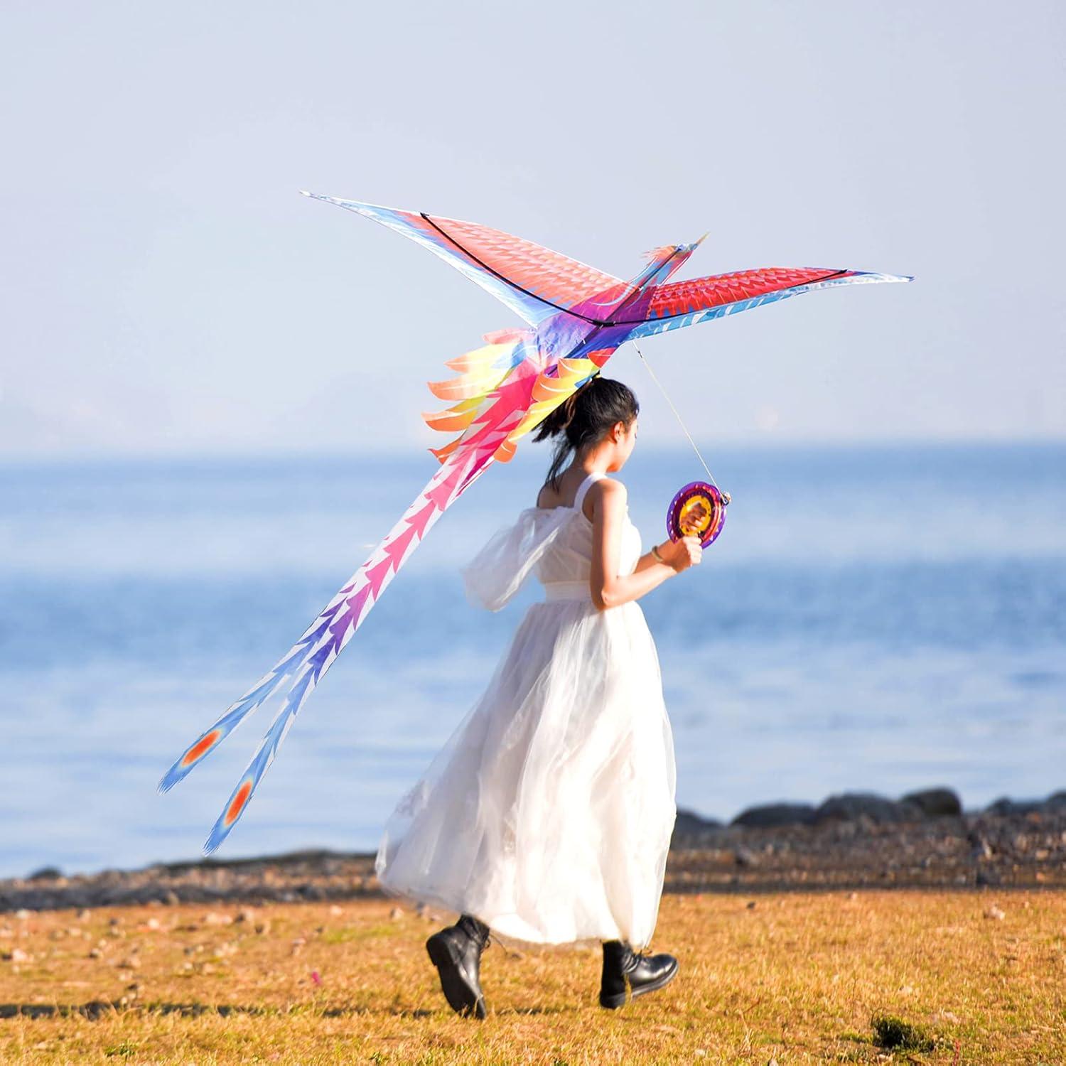 Rainbow Phoenix Drachen Flugdrachen für Kinder und Erwachsene