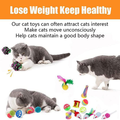 Katzenspielzeug Set mit Katzentunnel Interaktiv Spielzeug