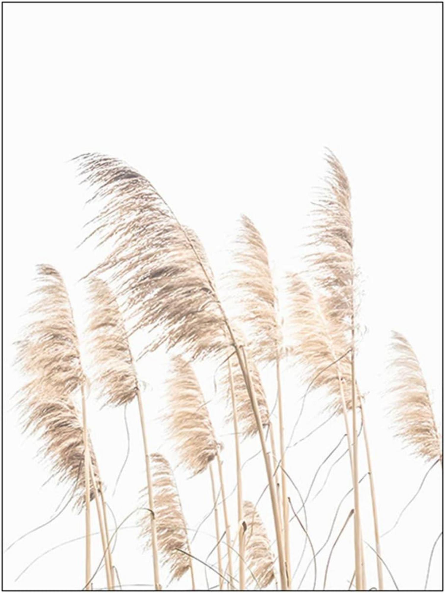 Premium Poster Set 3er Vintage Bilder Beige ohne Bilderrahmen 30x40 cm