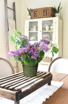 Oairse 5er Set Verzinkte Blumentöpfe für Moderne Dekoration