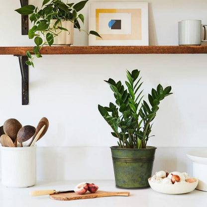 Oairse 5er Set Blumentöpfe verzinkter Stahl Moderne Dekoration Pflanztöpfe Vintage-Design