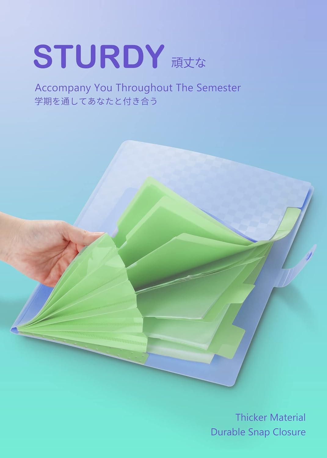 ThinkTex 7 Taschen Ordnungsmappe A4 Fächermappe Lila Organisator mit Druckknopf