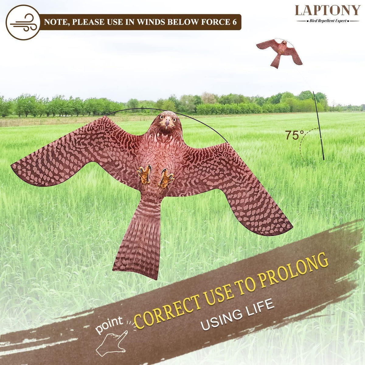 Vogelschreck Drachen für Garten & Bauernhof – Adler-Design