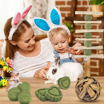 Kaninchen Kauspielzeug 11 Stück Holz Spielzeug Apfel Kauen Grasball