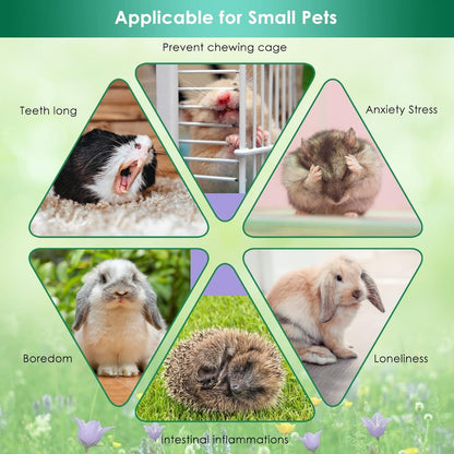 Kaninchen Hamster Spielzeug 11 Stück Holz Kauen Grasball Heu Sticks Kuchen