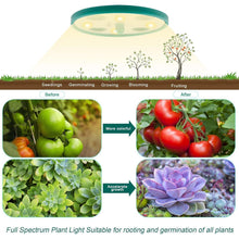 Zimmergewächshaus mit Lampen 5 Stück Mini Gewächshaus