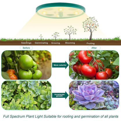 Zimmergewächshaus mit Lampen 5 Stück Mini Gewächshaus