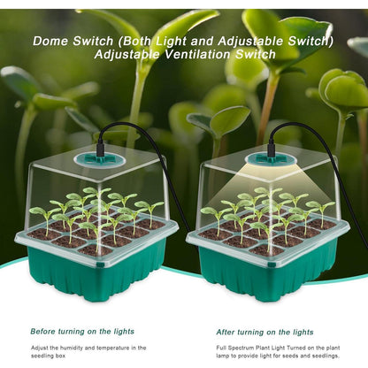 Zimmergewächshaus mit Lampen 5 Stück Mini Gewächshaus