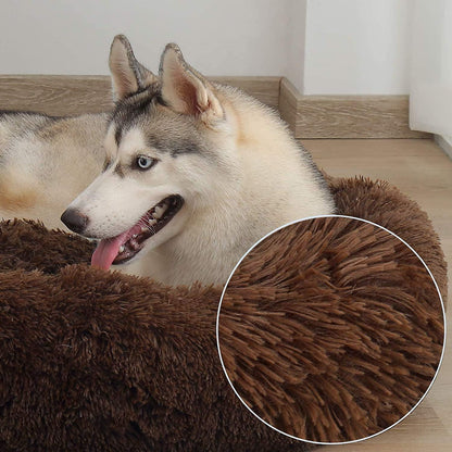 Orthopädisches Hundebett XXL – Waschbar & Kuschelig