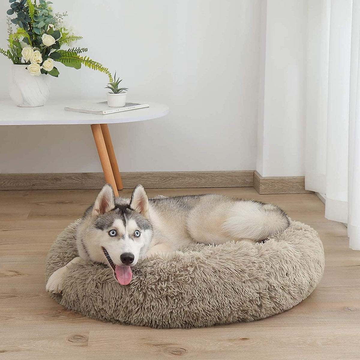 Orthopädisches Hundebett XXL – Waschbar & Kuschelig
