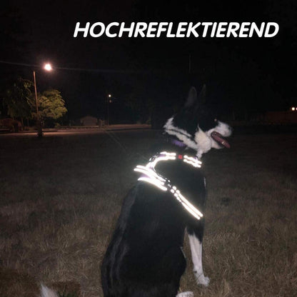 PoyPet Kein Zieh-Hundegeschirr mit Griff, Kariert Beige XL