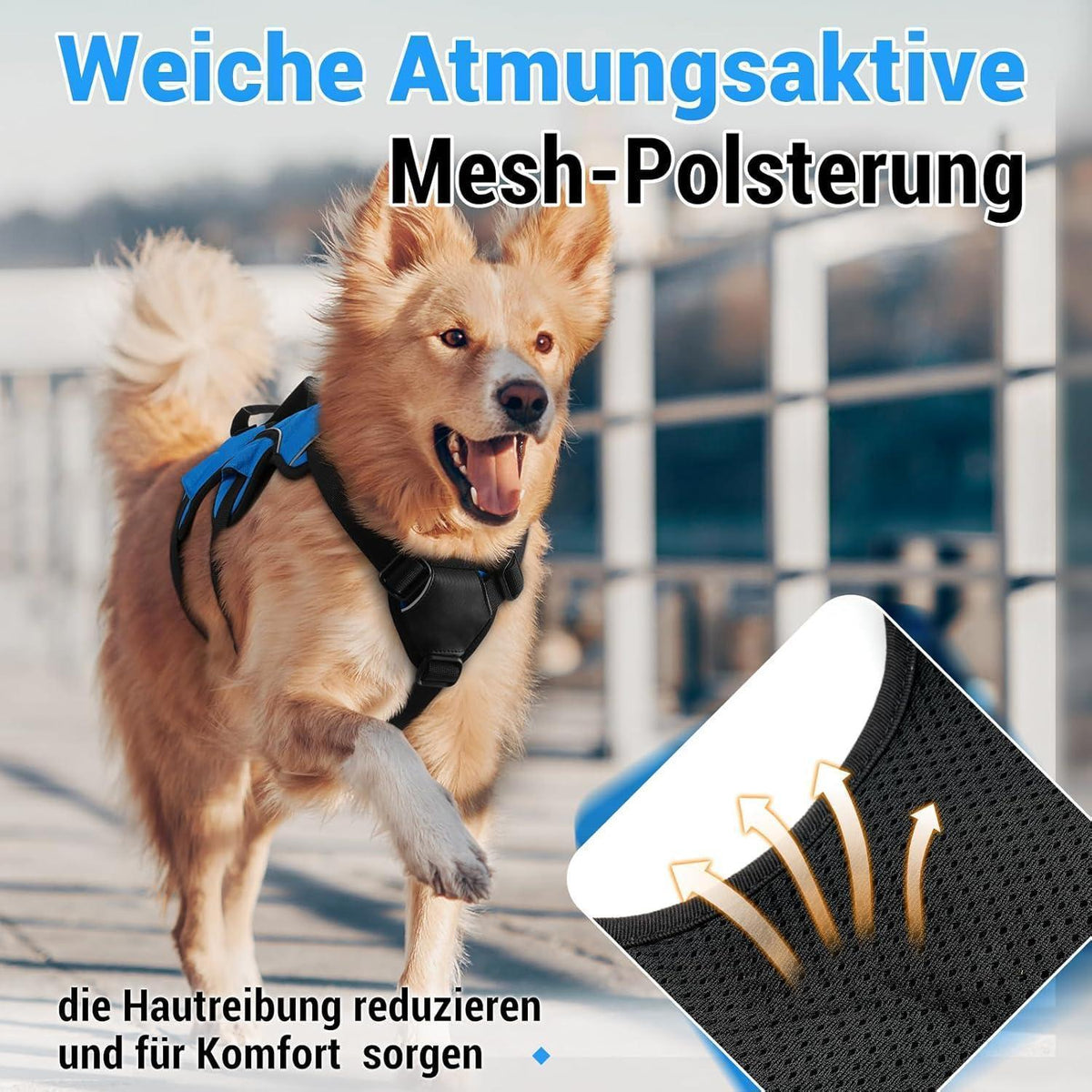 Ausbruchsicheres Hundegeschirr mit Griff, Blau M
