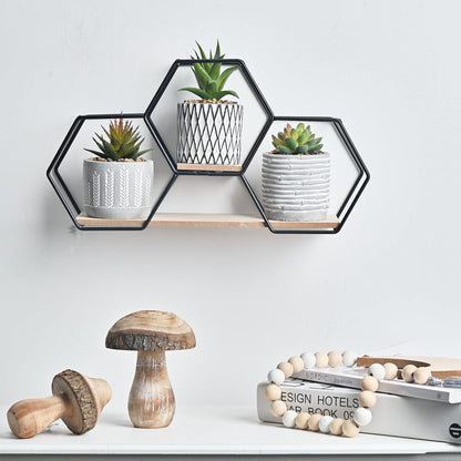 Moderne Sukkulenten Set mit Metall-Holzbock, 3er PackungGeo