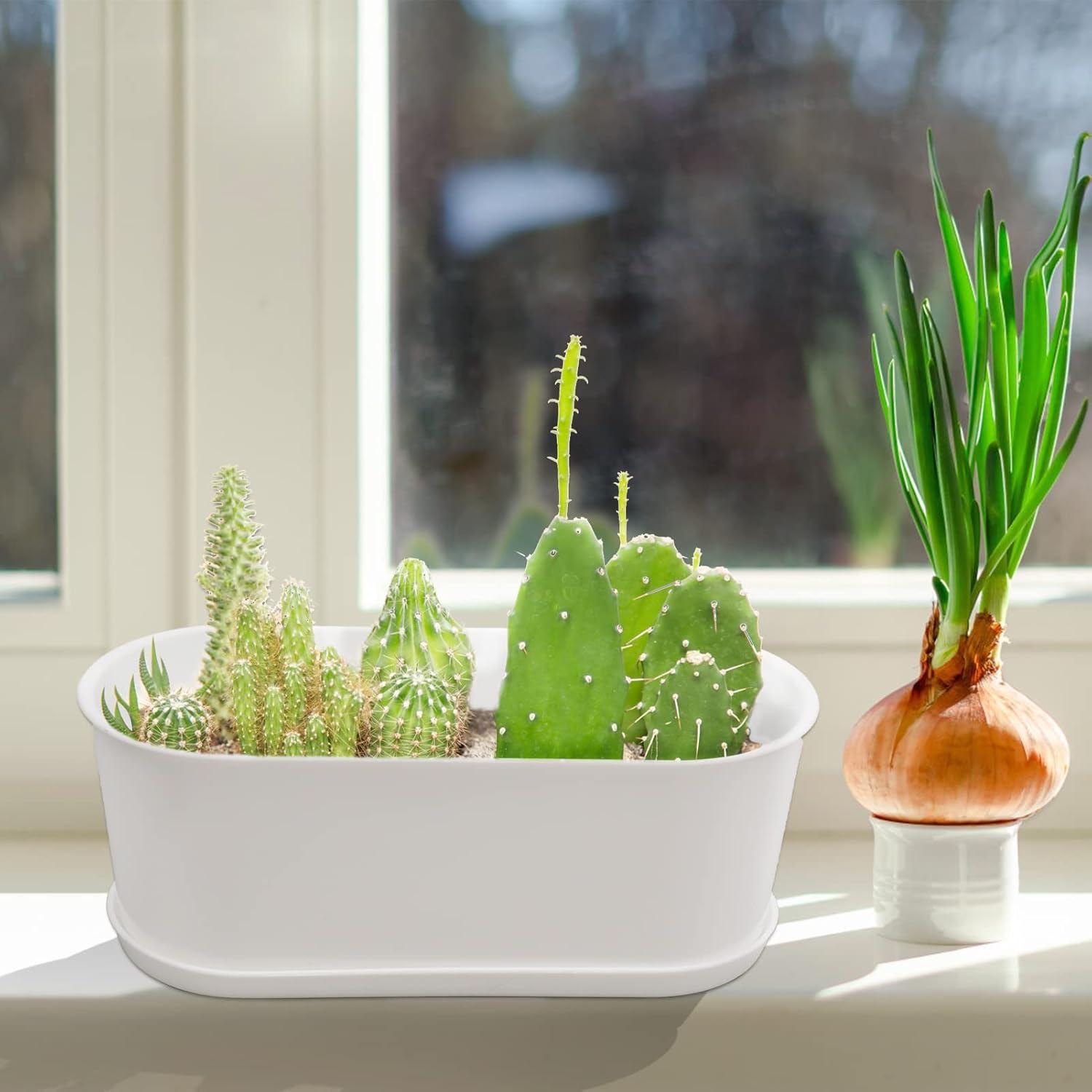 10x White Plastic Bonsai Pot 22cm Herb Planter Rectangular Balcony Garden Box