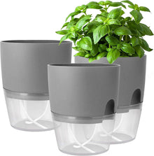Selbstbewässernder Kräutertopf 3er Set für Küche und Fensterbank