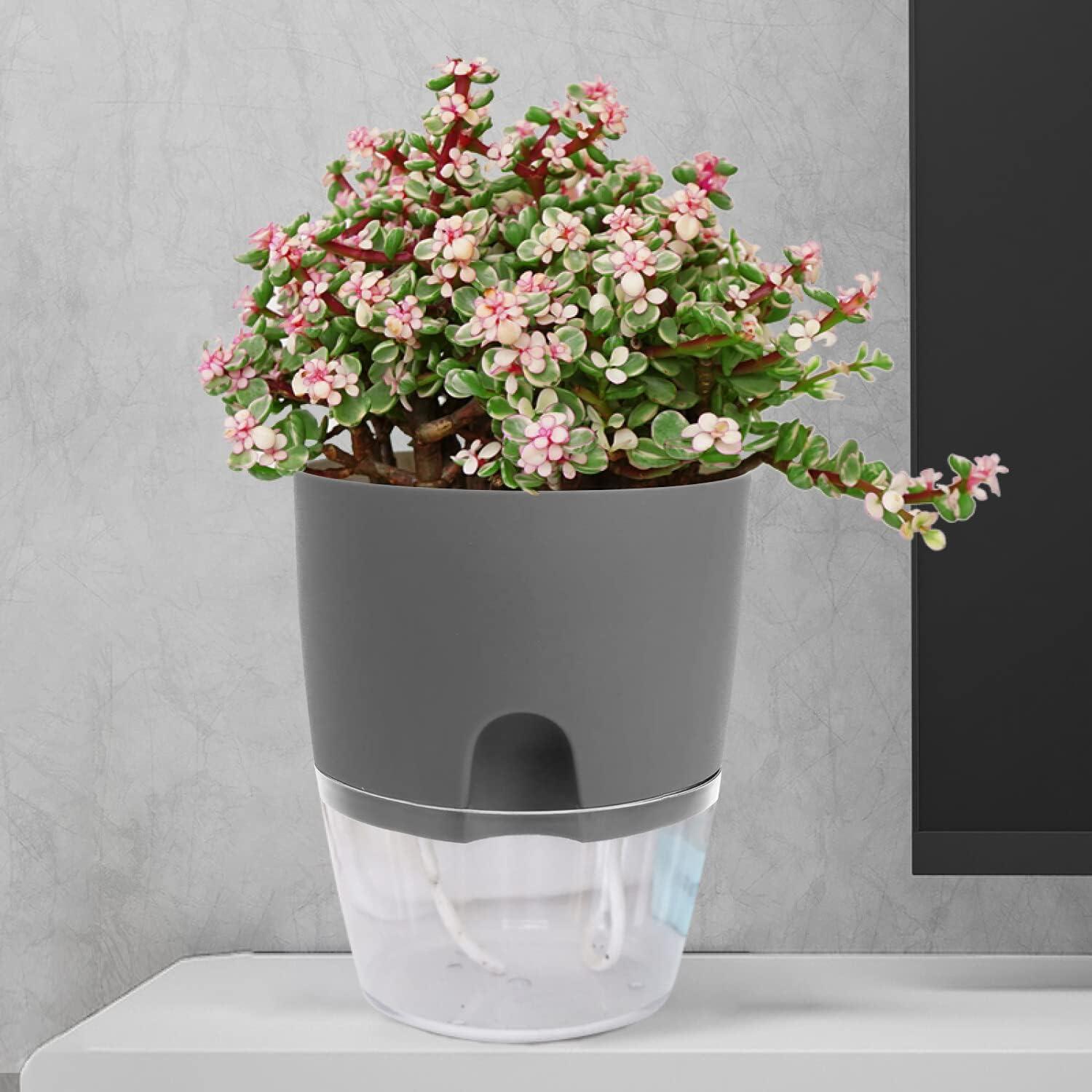 Kräutertopf Set selbstbewässernd 3er Küche Fensterbank 18.2x11x15.3cm