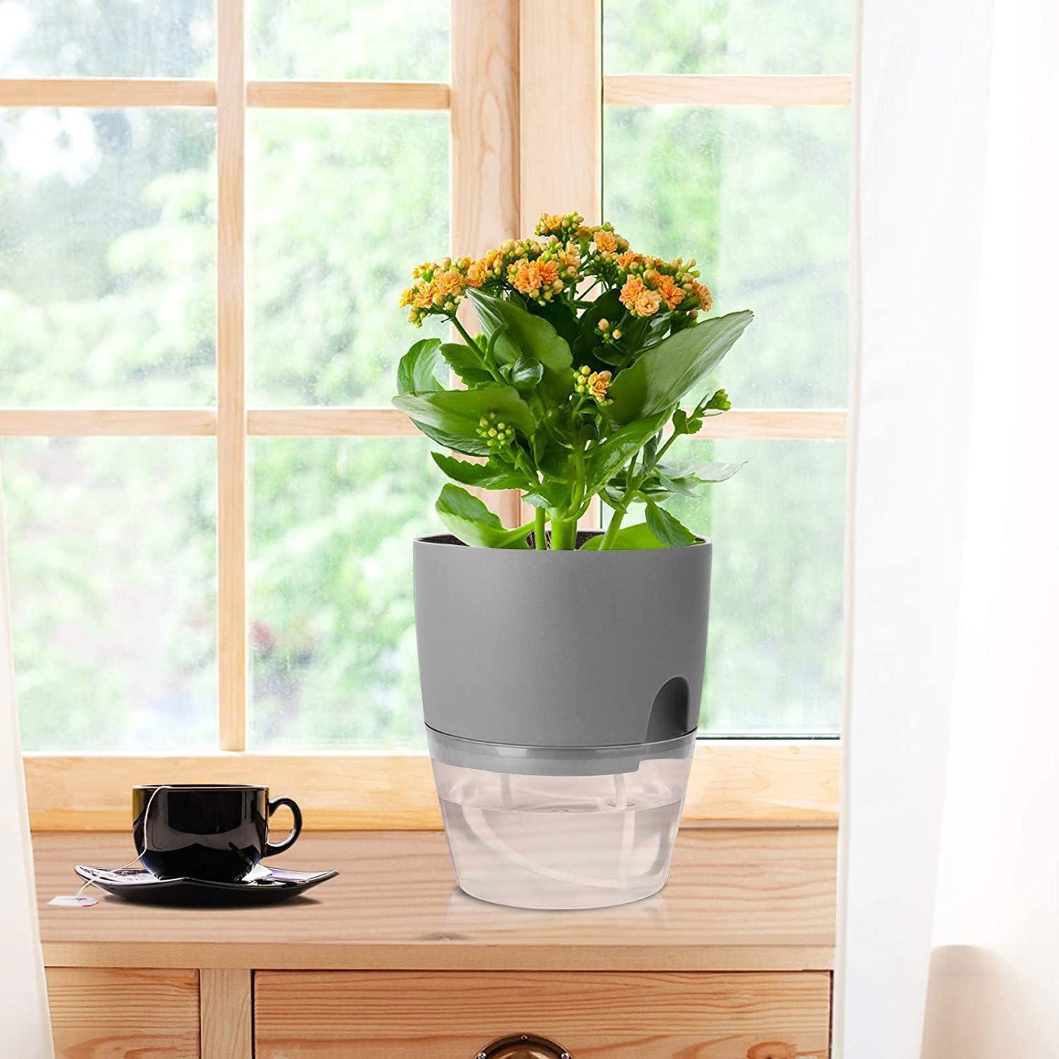 Kräutertopf Set für Küche Selbstbewässernd Fensterbank 18.2x11x15.3 cm Grau
