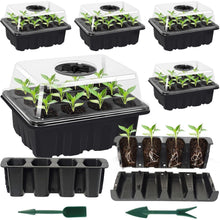 Anzucht Gewächshaus Pflanzkasten 6 Stück Zimmergewächshaus