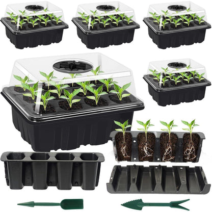 Anzucht Gewächshaus Pflanzkasten 6 Stück Zimmergewächshaus
