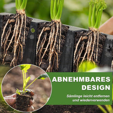 Anzucht Gewächshaus Pflanzkasten 6 Stück Zimmergewächshaus