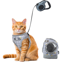 Ausbruchsicheres Katzengeschirr mit Leine 5m Nachtreflektor