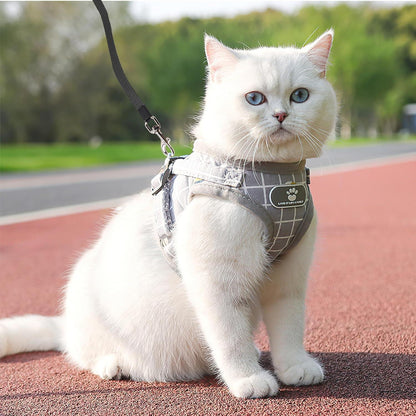 Ausbruchsicheres Katzengeschirr mit Leine 5m Nachtreflektor