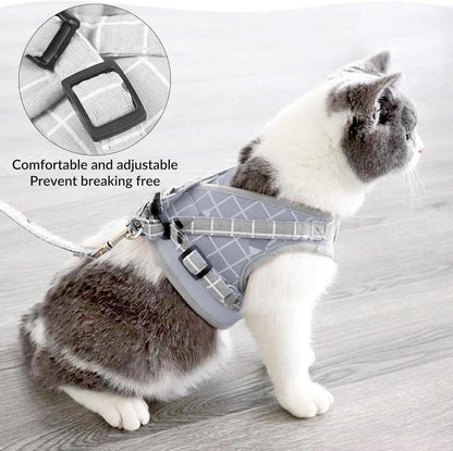 Katzengeschirr mit Leine ausbruchsicher Set Automatisches 5m