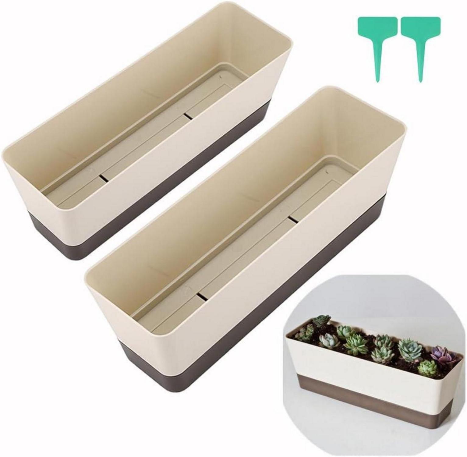 Rechteckiger Blumenkasten für Sukkulenten, Veilchen - 30,5 cm