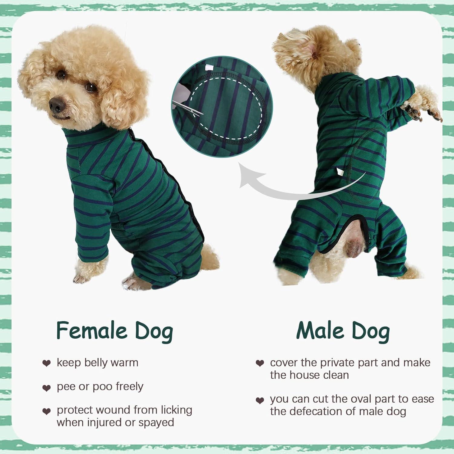 Hundebody nach Op & Kastration, Langarm Grün XS-XL