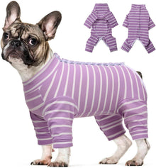 Hundebody Nach Op Kastration Vierfüßler Hundepyjama Lila