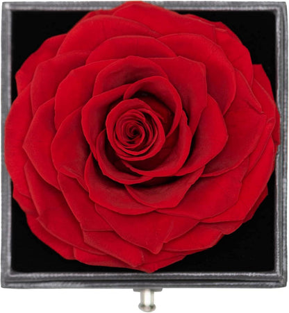 Ewige Rose Geschenkbox mit Halskette & Ohrringe, 925 Silber