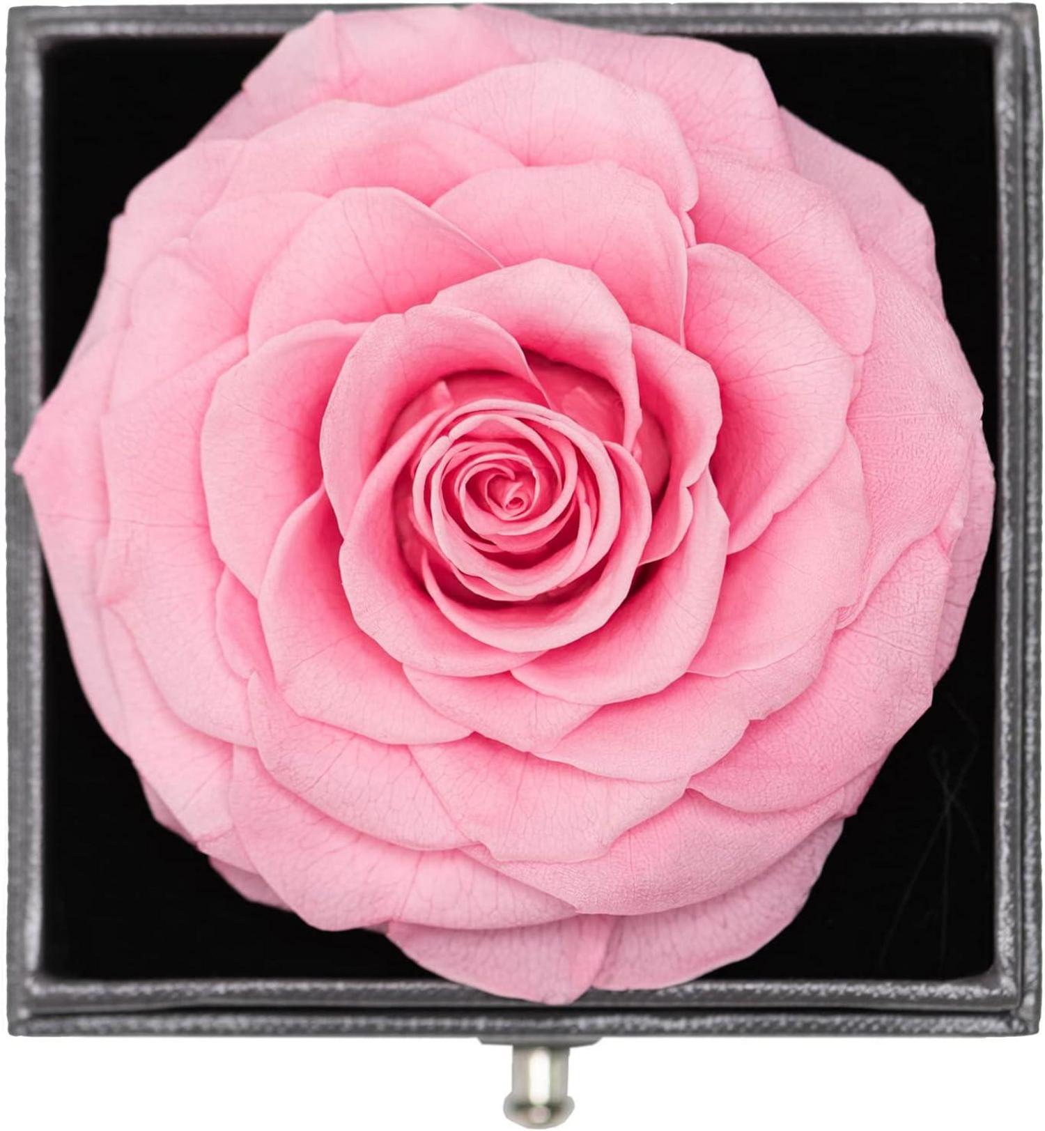 Ewige Rose Halskette Ohrringe Geschenkbox Rosa