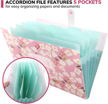Dokumentenmappe A4 Fächermappe PP Floral Akkordeon Ordner