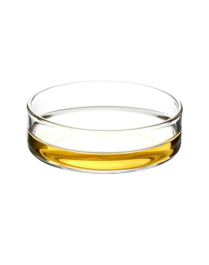 5er Set QWORK Glas Petrischalen mit Deckel 60mm x 18mm