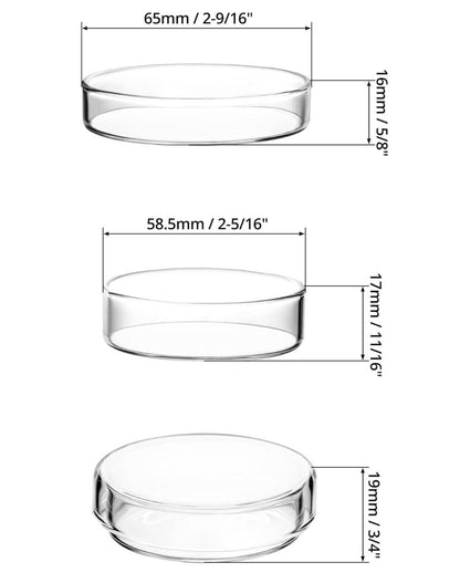 Glas Petrischalen mit Deckel Hochborosilikatglas Laborkultur 60mm x