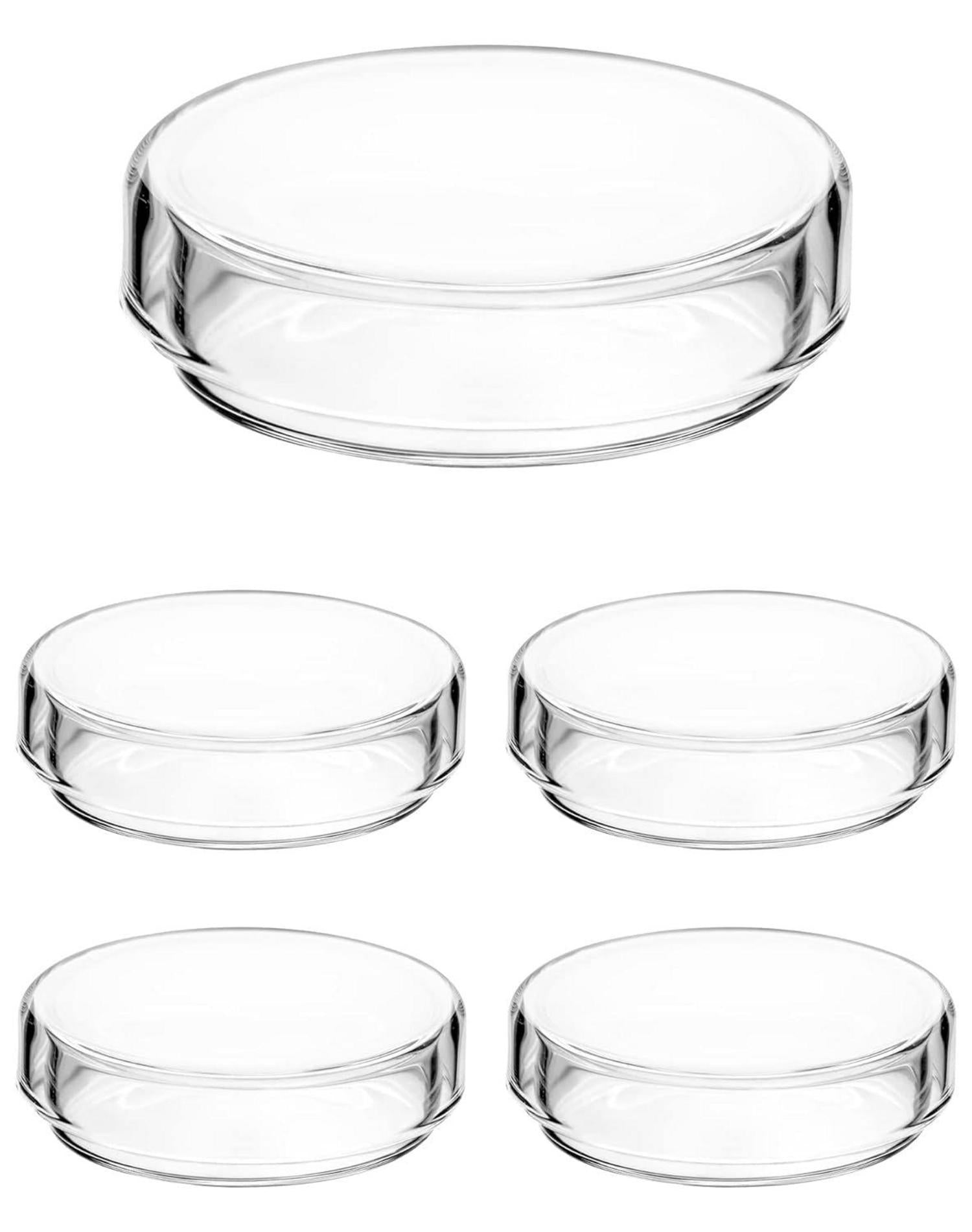 5er Set QWORK Glas Petrischalen mit Deckel 60mm x 18mm