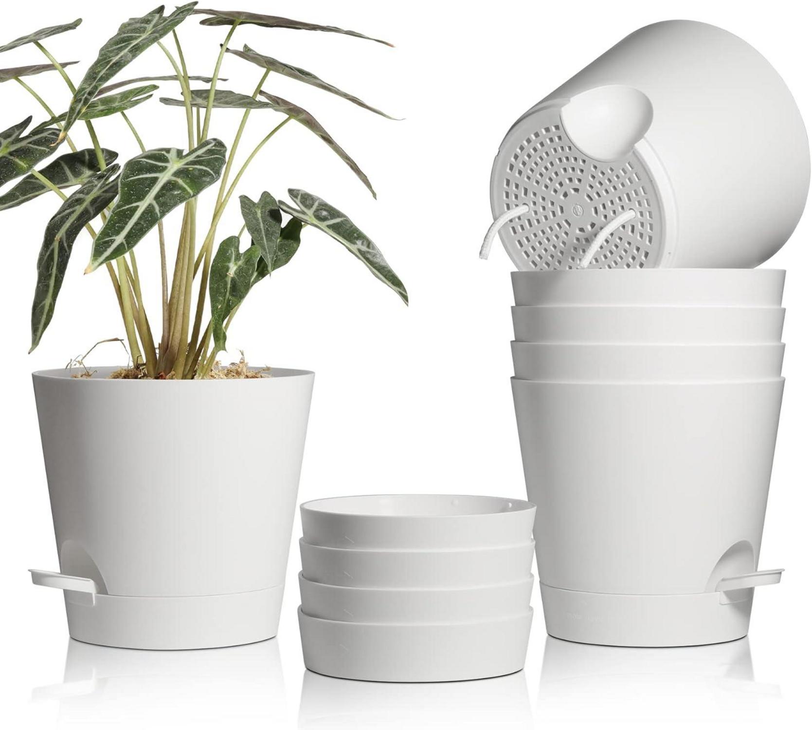 Kunststoff Blumentopf mit Bewässerungssystem 6er-Set selbstbewässerung