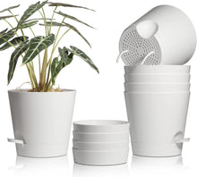 Kunststoff Blumentopf mit Bewässerungssystem 6er-Set selbstbewässerung