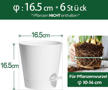 T4U 16,5cm Selbstbewässernder Kunststoff Blumentopf 6er-Set